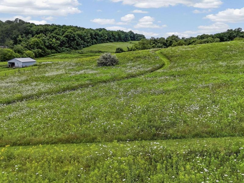 4882 Cotterman Road SE, Newark, OH 43055 Photo 80
