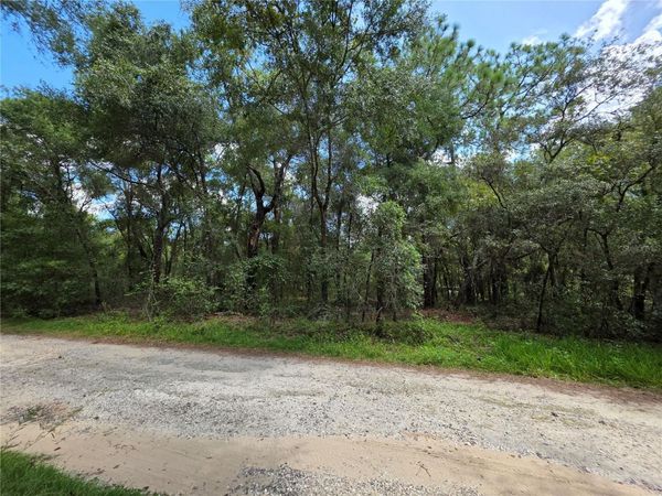 00 SE 105TH TERRACE, OCKLAWAHA, FL 32179