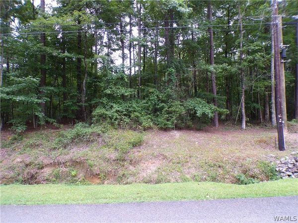 0 Berry Circle NW, Fayette, AL 35555