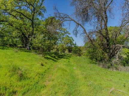 5650 Red Valley Rd, Ione, CA 95640 Photo