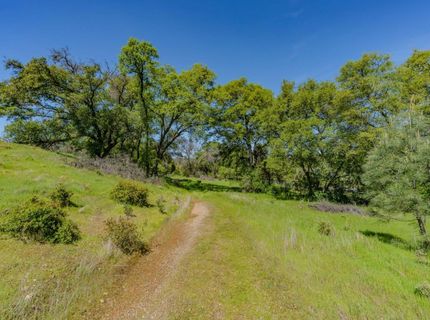 5650 Red Valley Rd, Ione, CA 95640 Photo