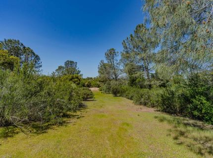 5650 Red Valley Rd, Ione, CA 95640 Photo