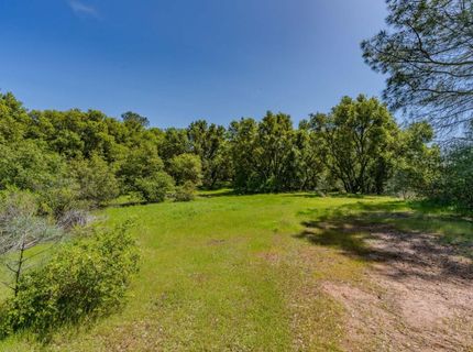 5650 Red Valley Rd, Ione, CA 95640 Photo