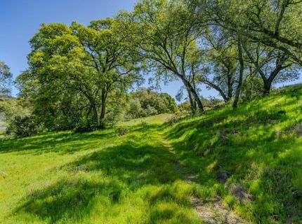5650 Red Valley Rd, Ione, CA 95640 Photo