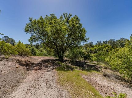 5650 Red Valley Rd, Ione, CA 95640 Photo