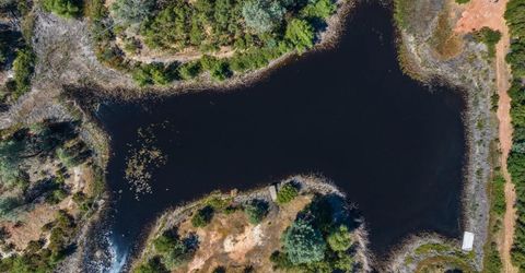 5650 Red Valley Rd, Ione, CA 95640 Photo