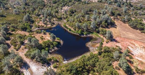 5650 Red Valley Rd, Ione, CA 95640 Photo