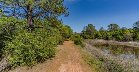 5650 Red Valley Rd, Ione, CA 95640 Photo