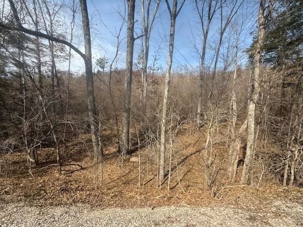 TRACT 3 HWY 128 HWY, Clifton, TN 38425