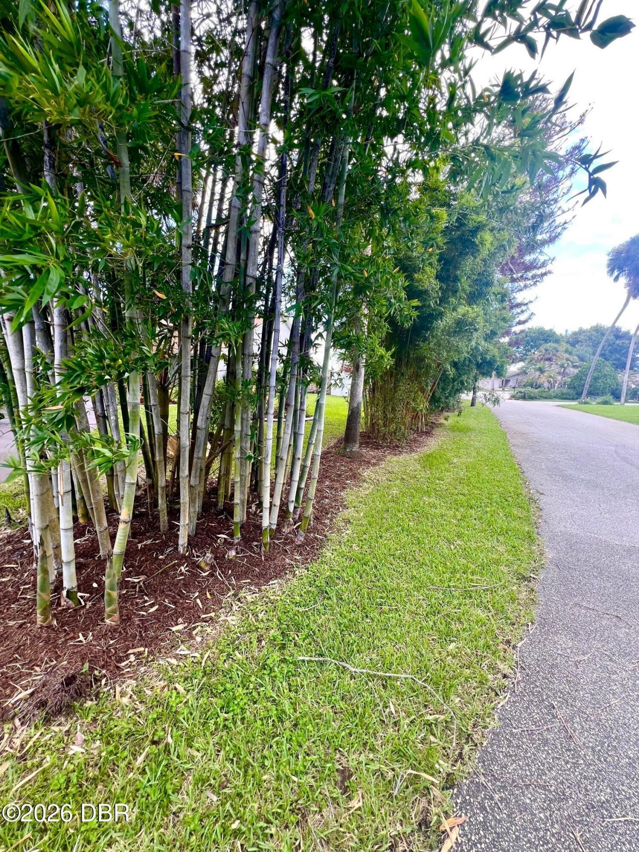 1 Harris Circle, Edgewater, FL 32141 Photo