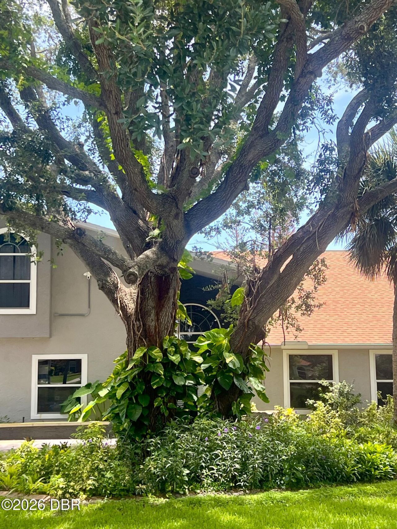 1 Harris Circle, Edgewater, FL 32141 Photo