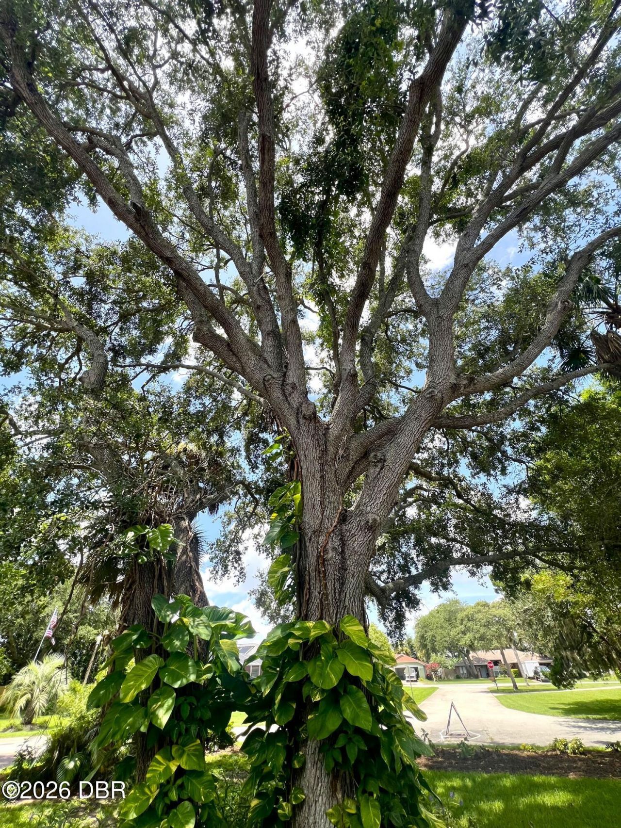 1 Harris Circle, Edgewater, FL 32141 Photo