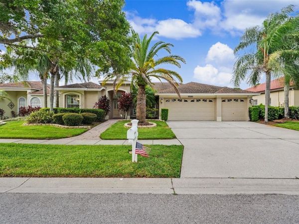 12507 ROYAL DUBLIN AVENUE , ODESSA, FL 33556