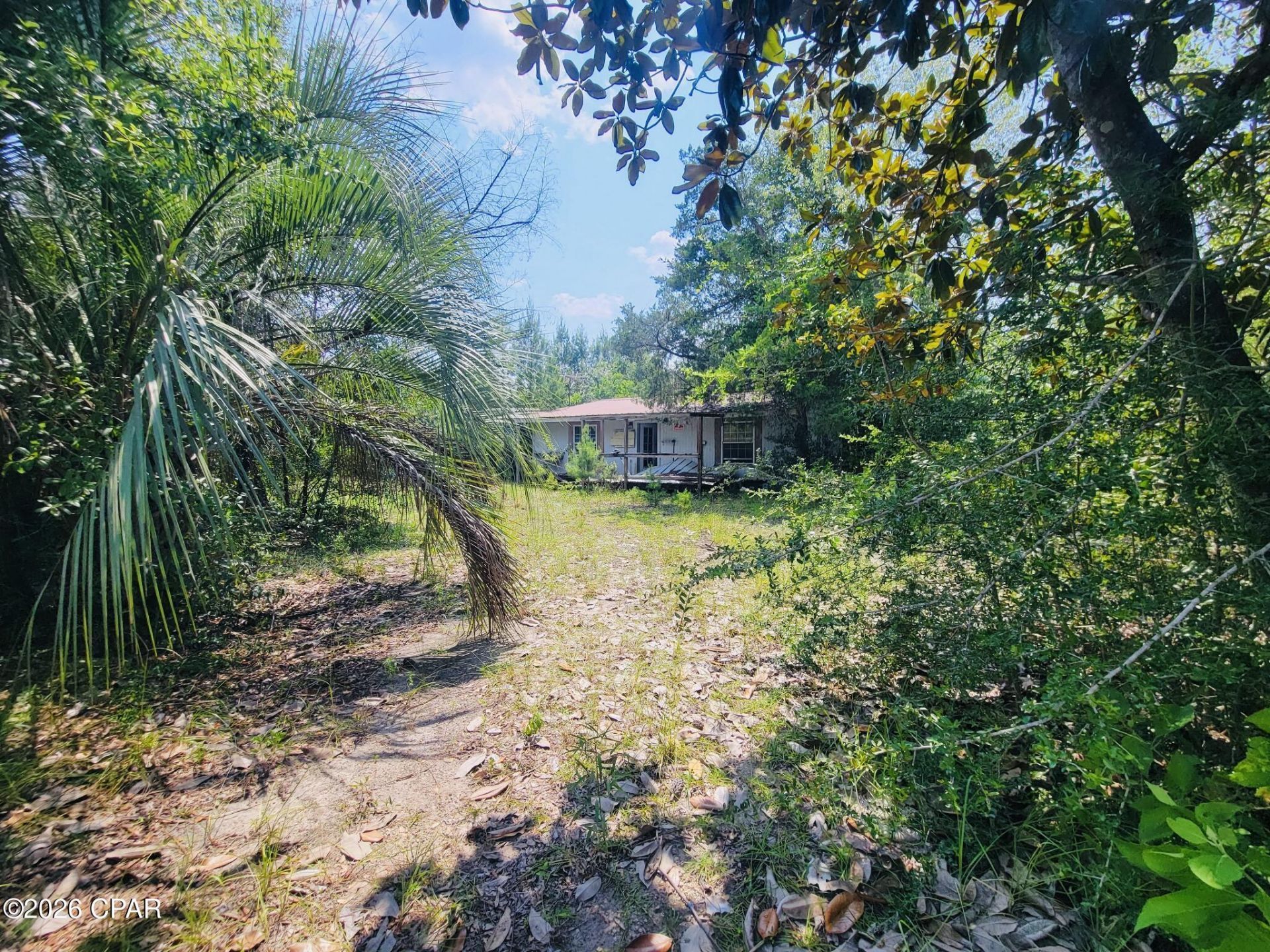 7157 NW Porter Grade Road, Altha, FL 32421 Main Photo