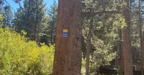 3316 Bruce Drive, South Lake Tahoe, CA 96150 Photo