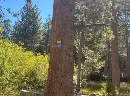 3316 Bruce Drive, South Lake Tahoe, CA 96150 Photo