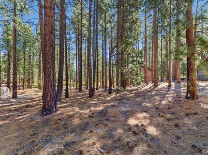 1506 Bonita Road, South Lake Tahoe, CA 96150 Photo