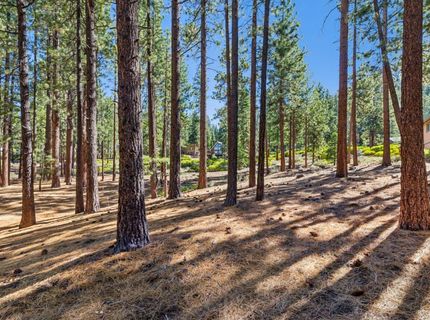 1506 Bonita Road, South Lake Tahoe, CA 96150 Photo