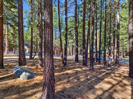 1506 Bonita Road, South Lake Tahoe, CA 96150 Photo