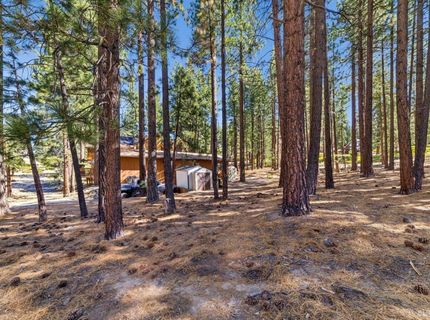 1506 Bonita Road, South Lake Tahoe, CA 96150 Photo