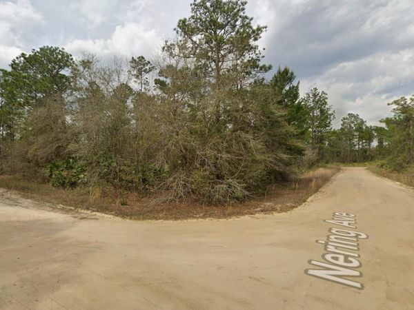 Tbd Wallace Street, Interlachen, FL 32148
