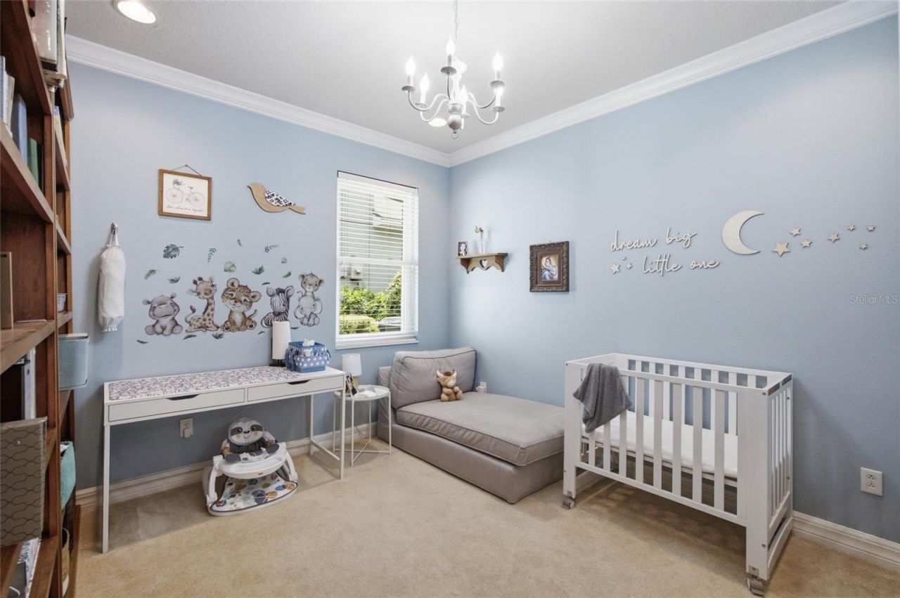2013 Raven Manor Drive, Dover, FL 33527 Photo