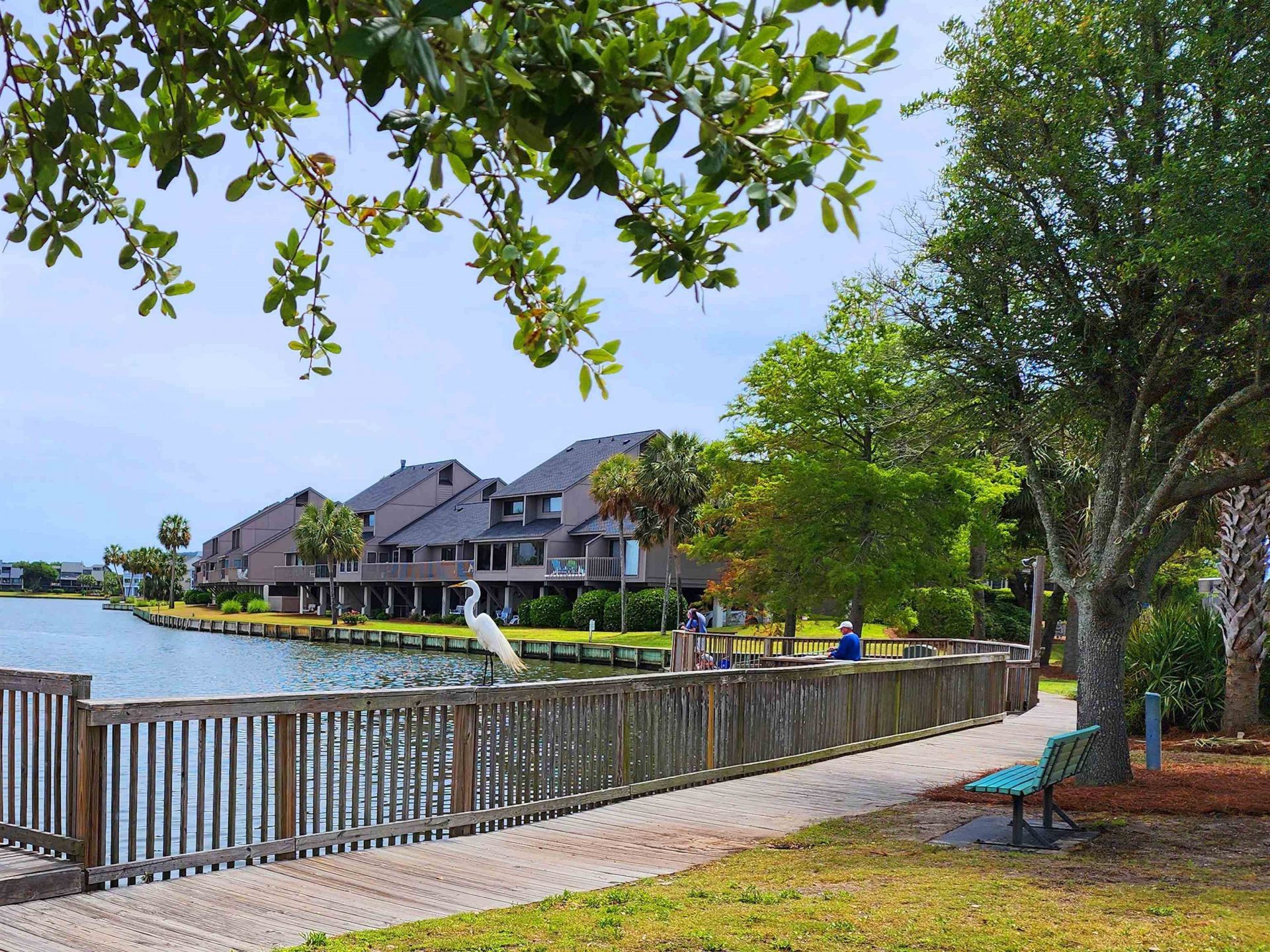 50 Billfish Ct. Photo 61