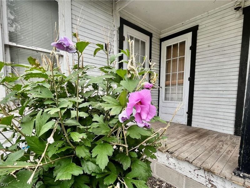 279 Wilson Street, Newark, OH 43055 Photo 3