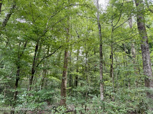2194 Mississippi 570 , Summit, MS 39666