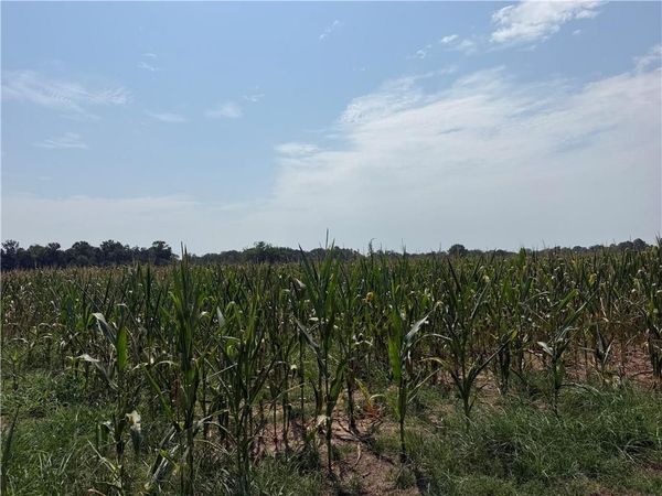 0 Grand Bay-Wilmer Road, Mobile, AL 36608