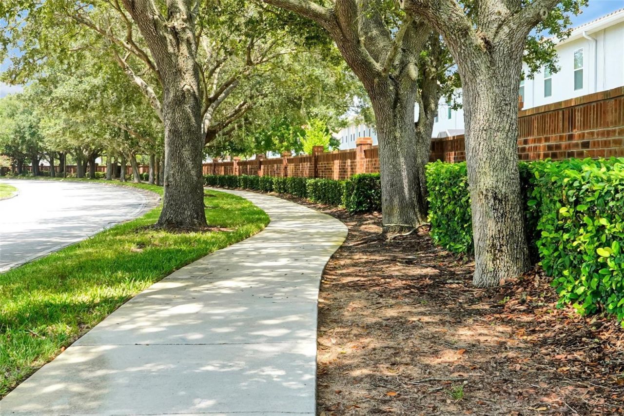 342 Reed Grass Drive , Oviedo, FL 32765 Photo