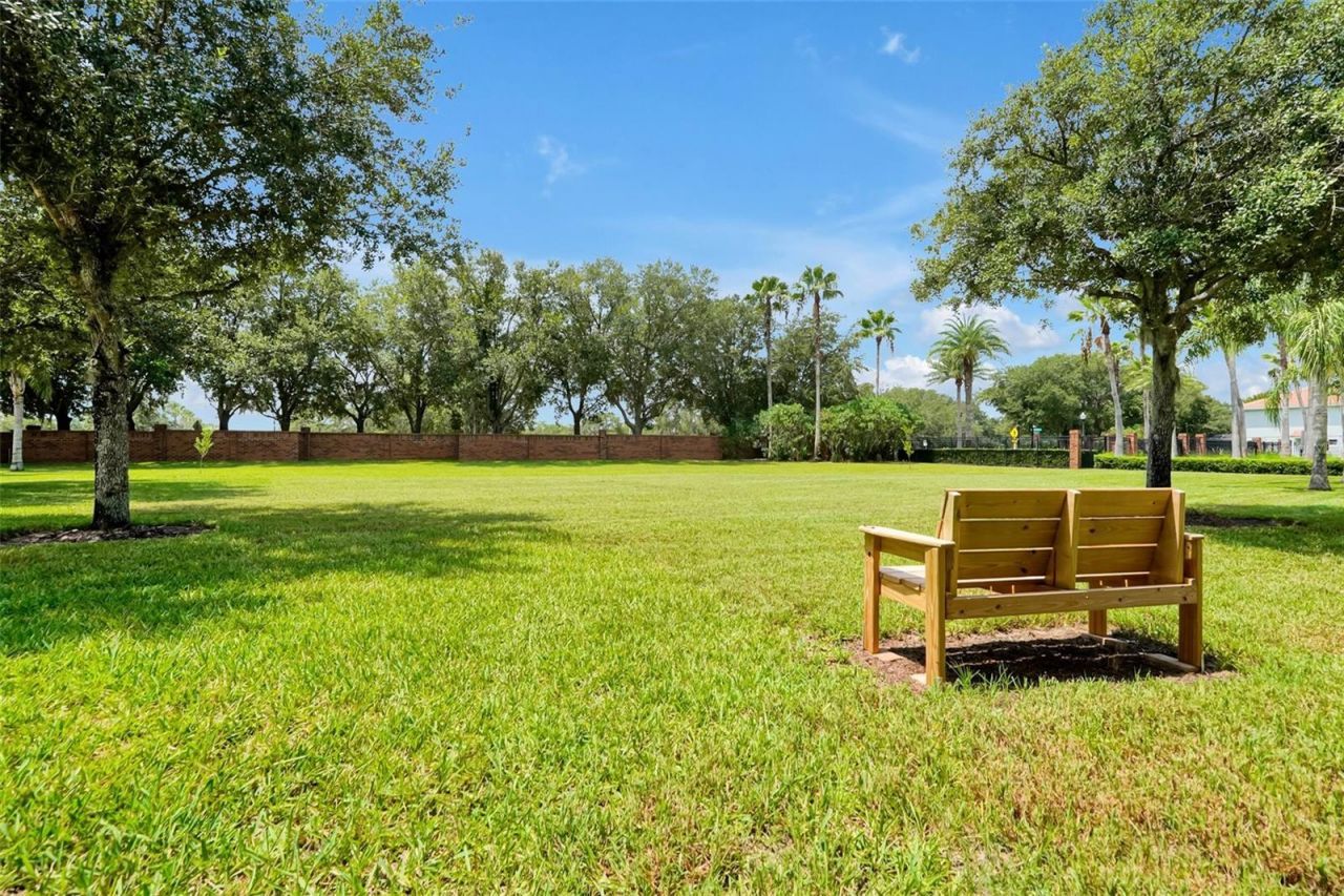 342 Reed Grass Drive , Oviedo, FL 32765 Photo