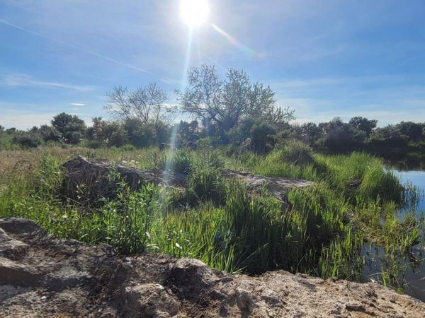 TBD S 200 E, Shoshone, ID 83352
