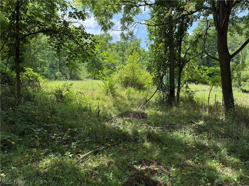6960 Grove Road , Clinton, OH 44216 Photo 14
