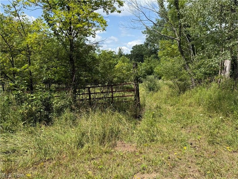 6960 Grove Road , Clinton, OH 44216 Photo 15
