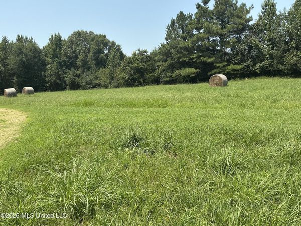 478 Deer Creek Road, Byhalia, MS 38611