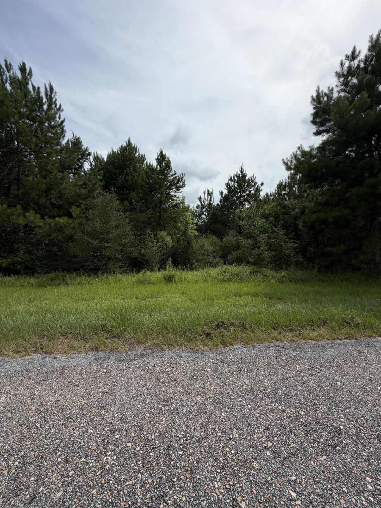 0 R Thompson, Lumberton, MS 39455 Main Photo