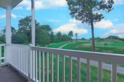 6010 Windsor Green Way photo 4