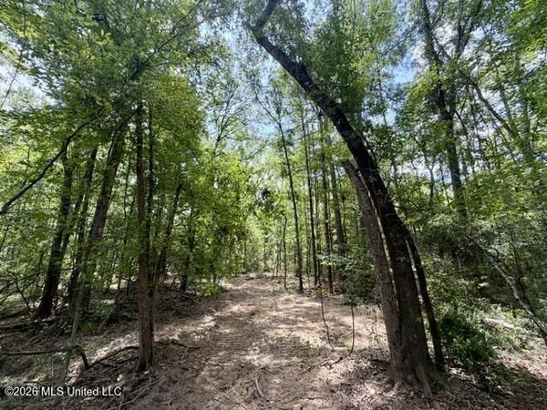 SE Lee Drive, Bogue Chitto, MS 39629
