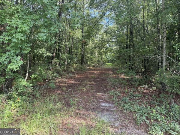 68 Johnson Road, Richmond Hill, GA 31324