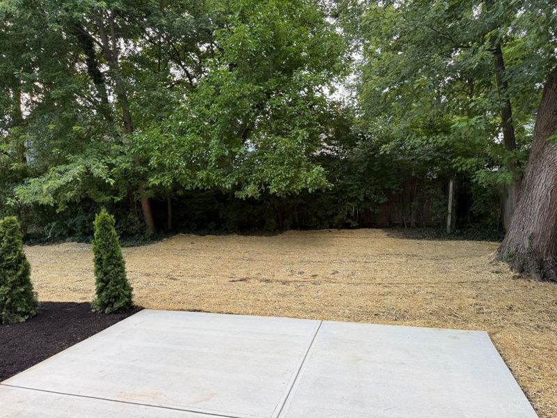3410 Brotherton Avenue, Cincinnati, OH 45209 Photo 15