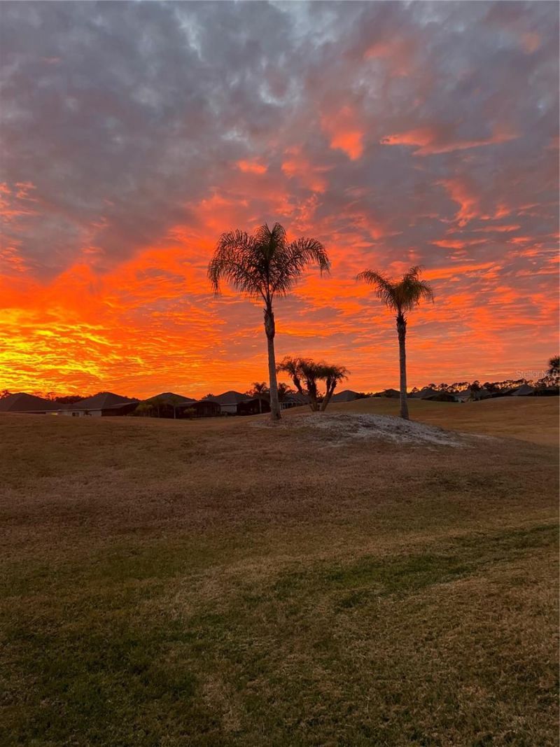 2909 N Asciano Court, New Smyrna Beach, FL 32168 Photo
