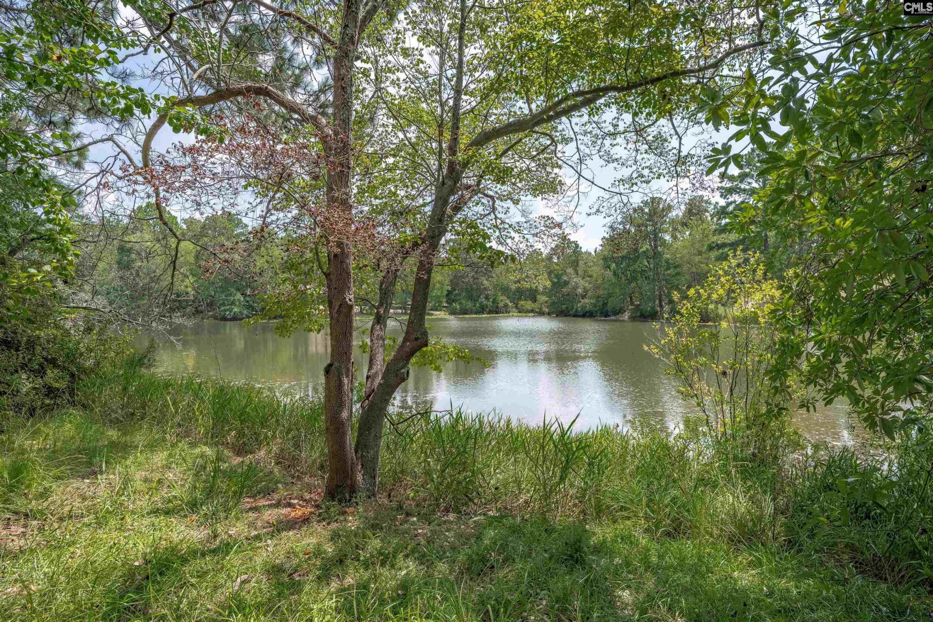 112 Crestline Drive Photo 39