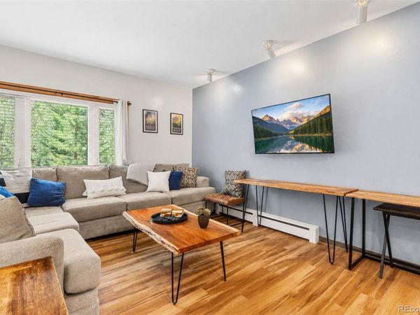216 Pitkin Street , Unit 14, Frisco, CO 80443