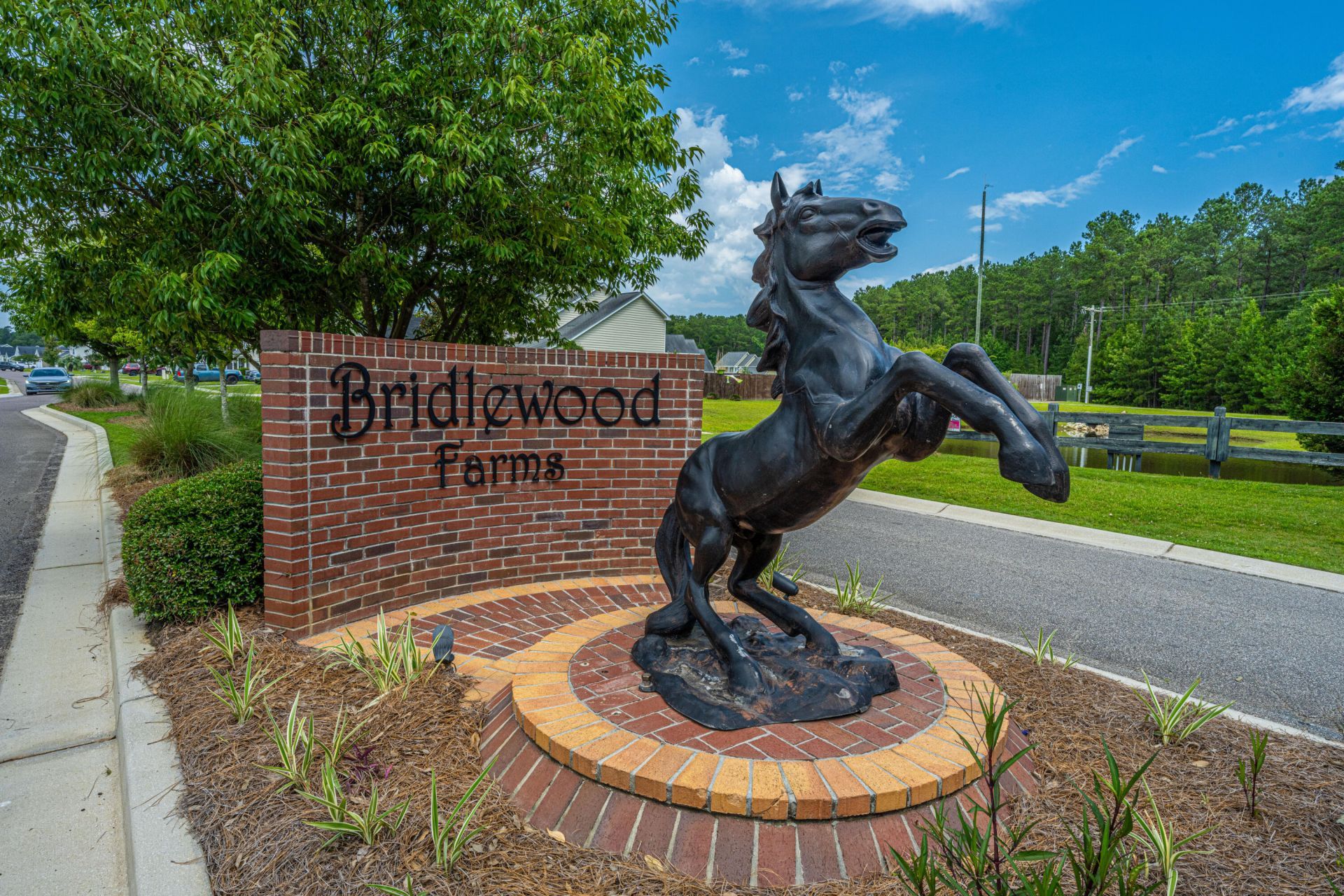 2017 Bridlewood Farms Parkway Photo 43