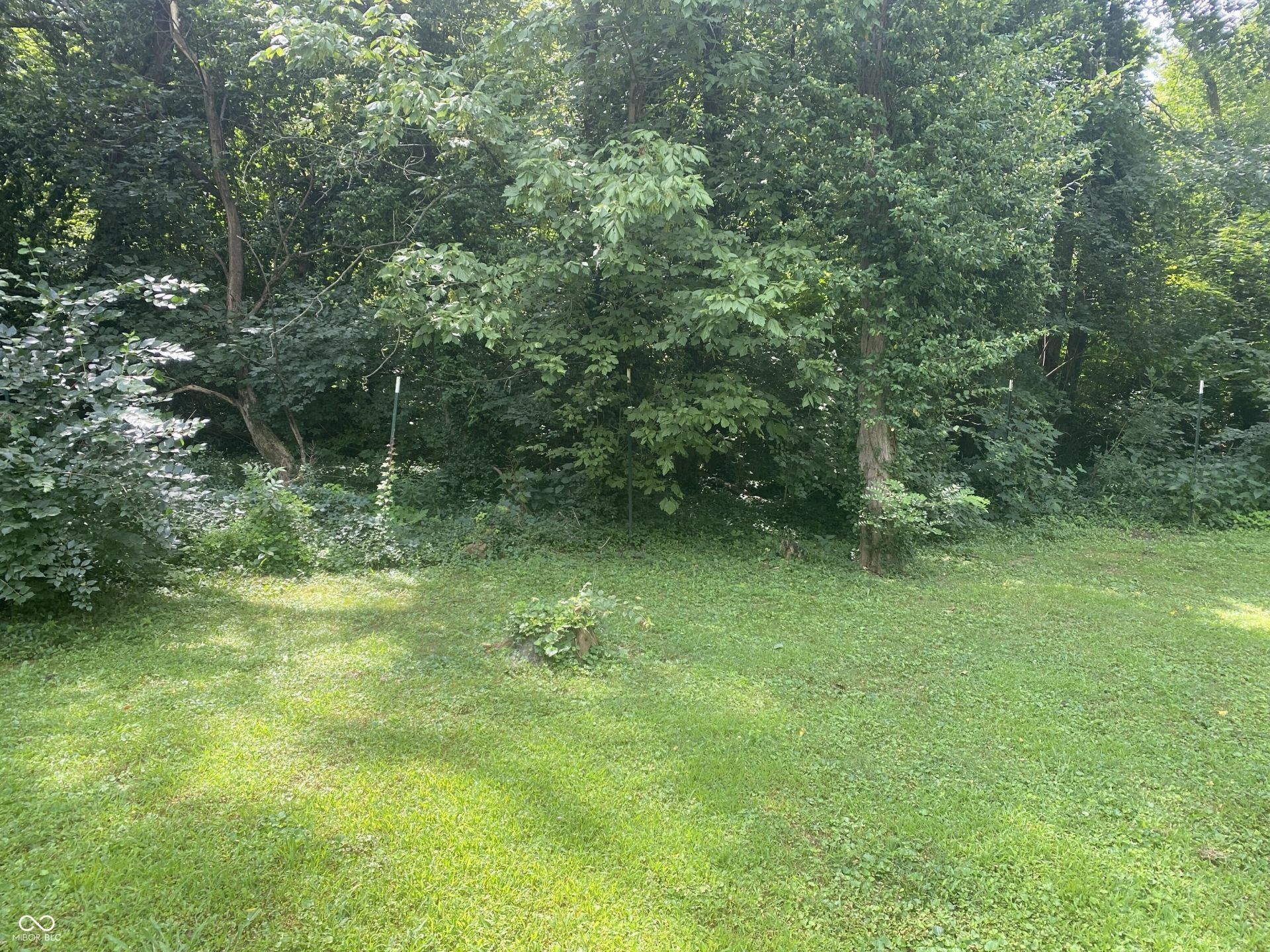 5860 Coburn Avenue, Indianapolis, IN 46228 Main Photo