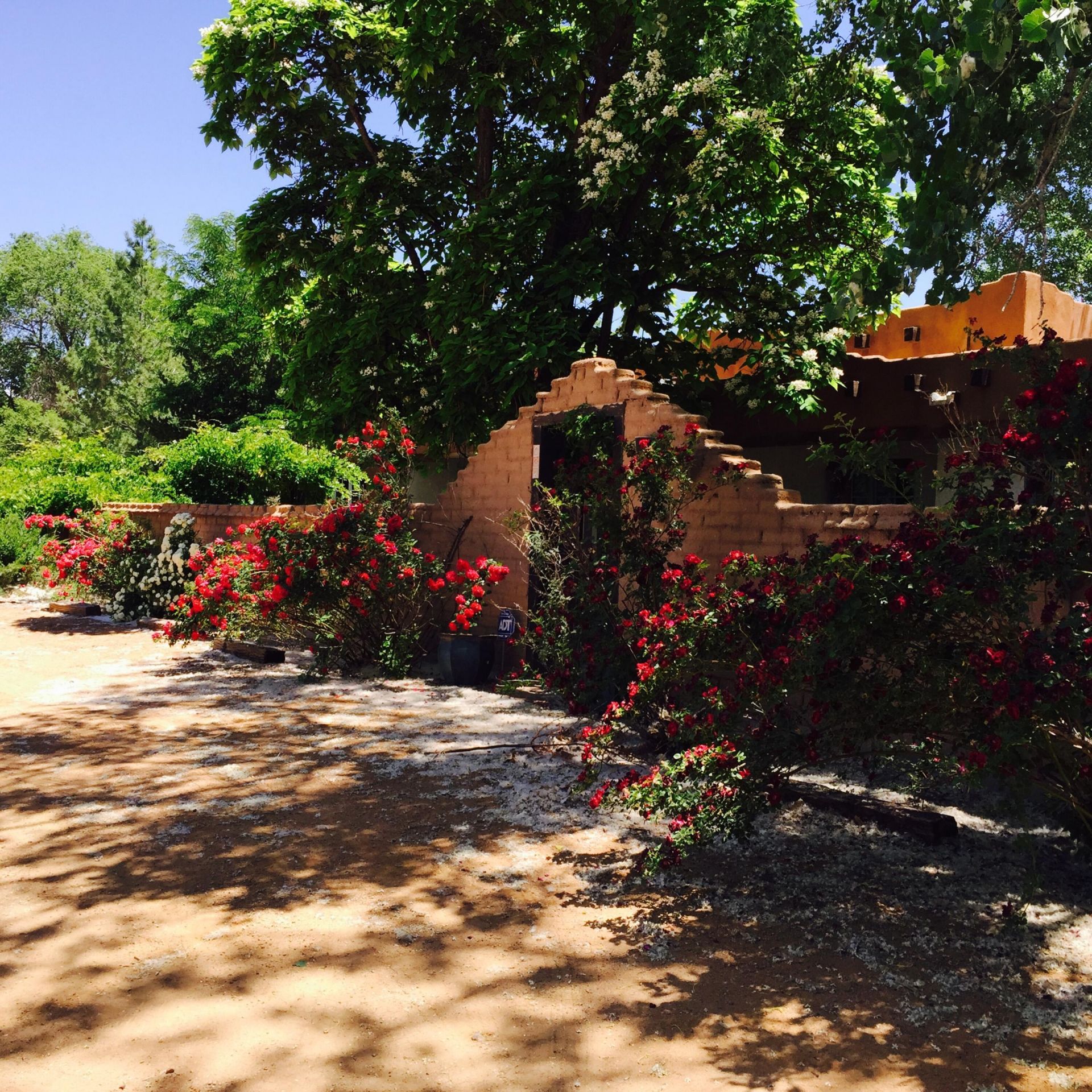 32 Priestly Place, Corrales, NM 87048 Main Photo