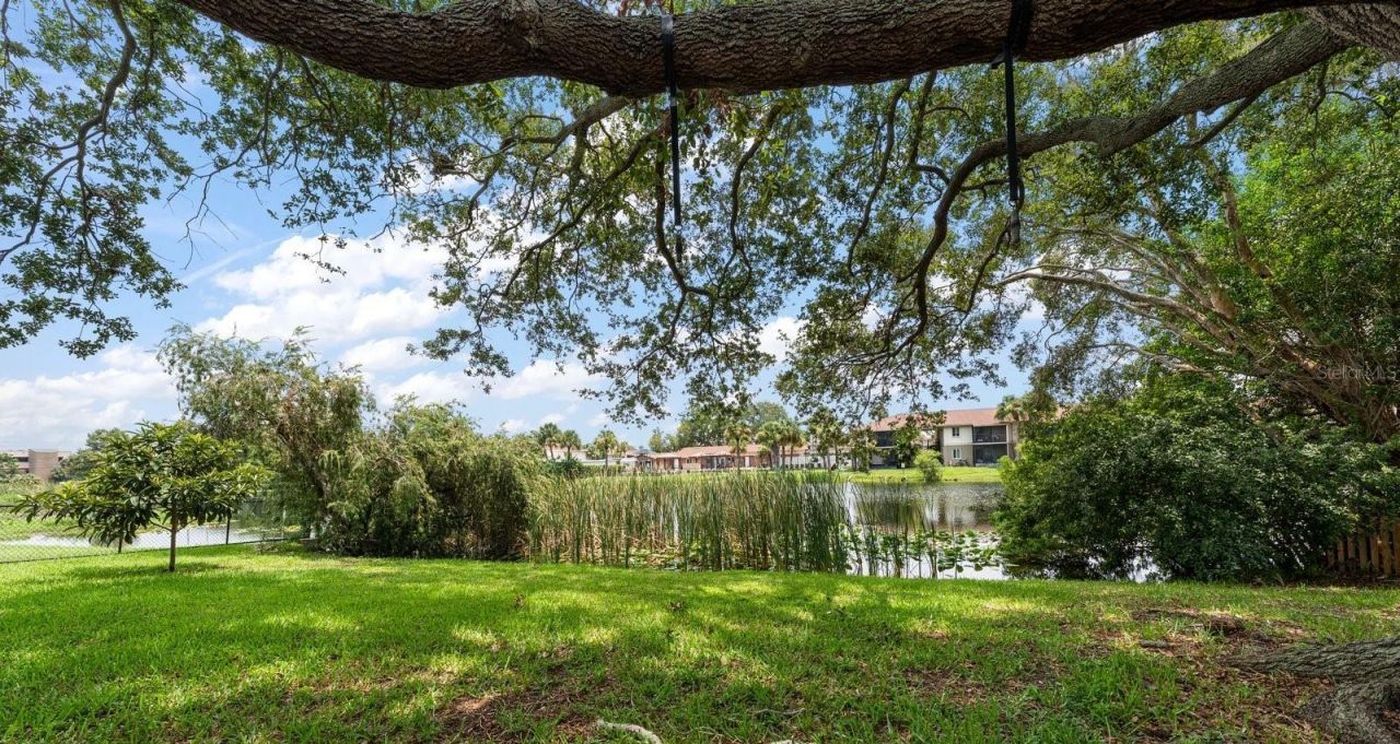 101 S Neptune Avenue, Clearwater, FL 33765 Photo