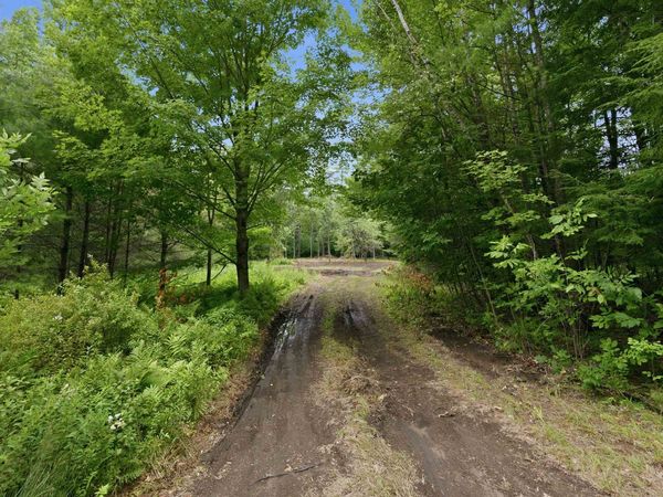 Lot 29 Dane Road, Center Harbor, NH 03226