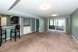 2605 Hidden Cove Drive photo 4